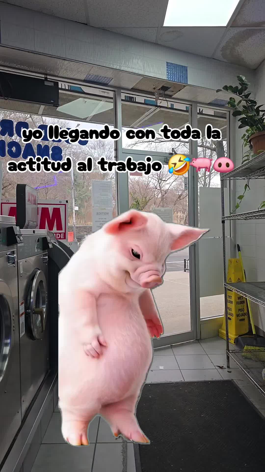 @Angy Salazar❤️🔥😈