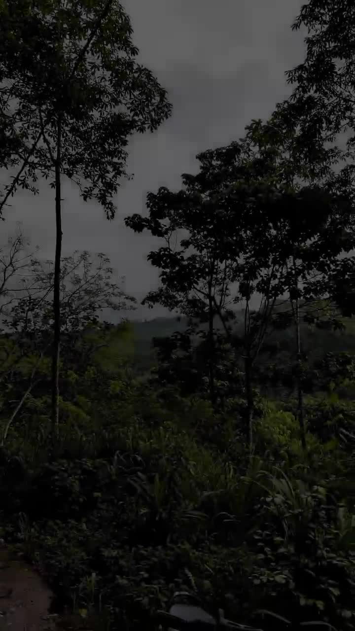 @𝑵𝒂𝒗𝒆𝒆𝒏 🪬🖤
