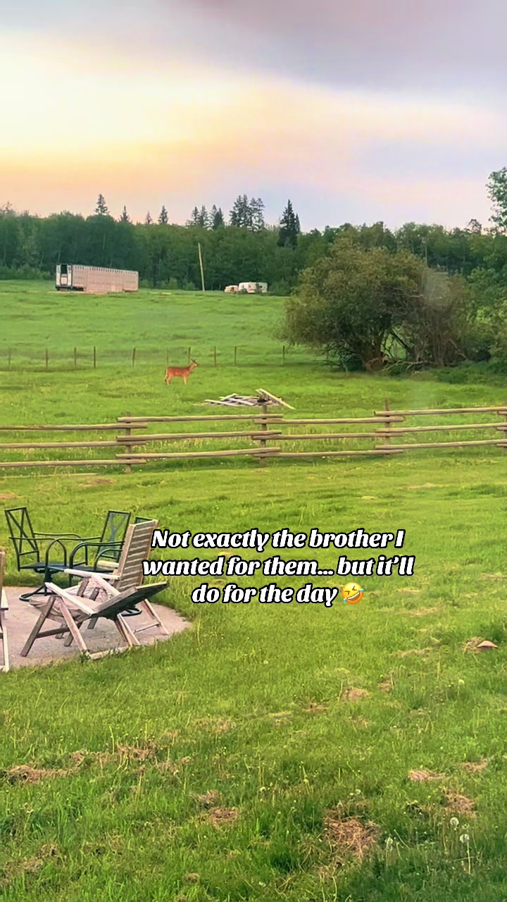 @Ferally Fowl Farmstead