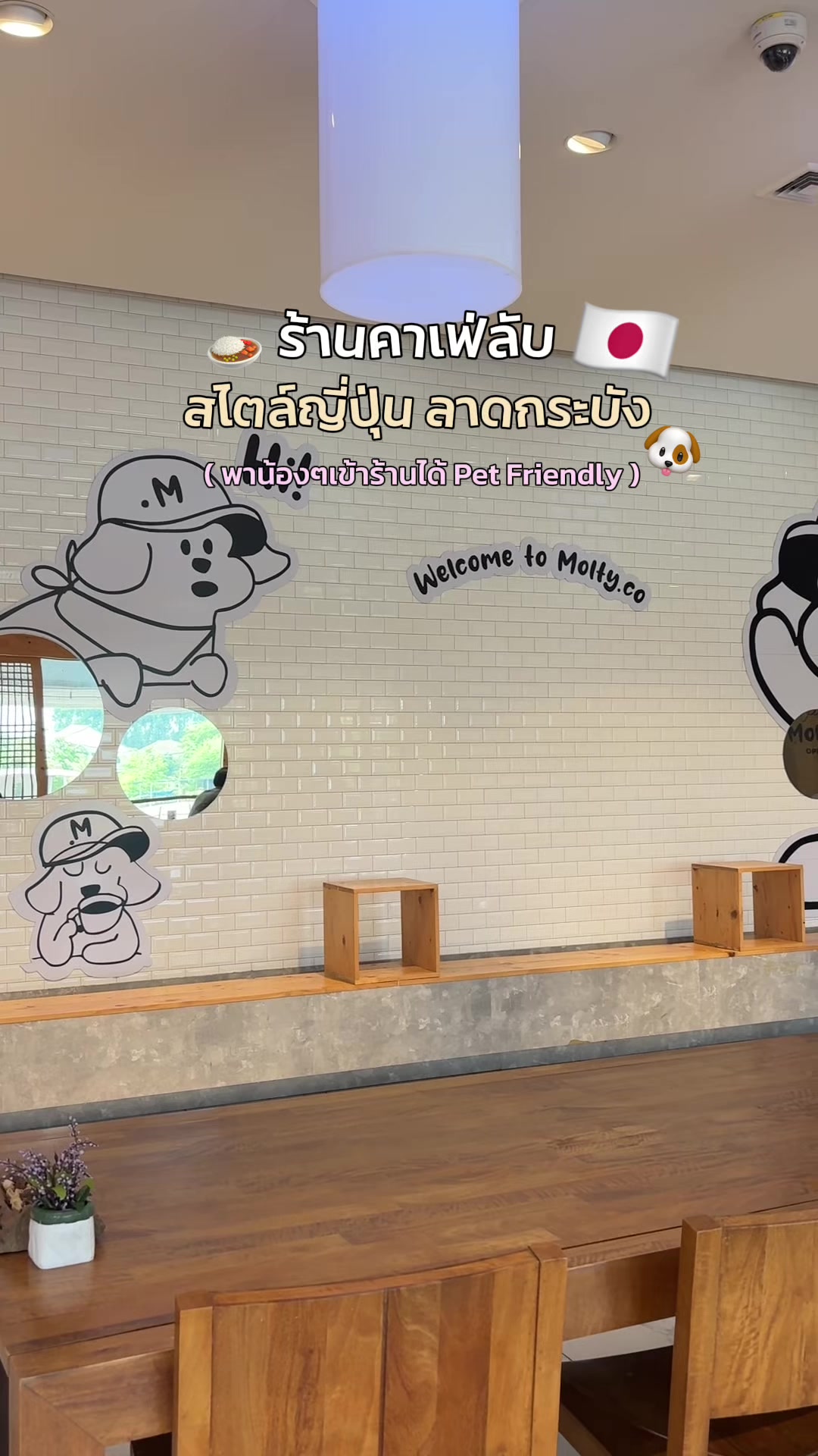 @นานิวไม่ใช่นินิว
