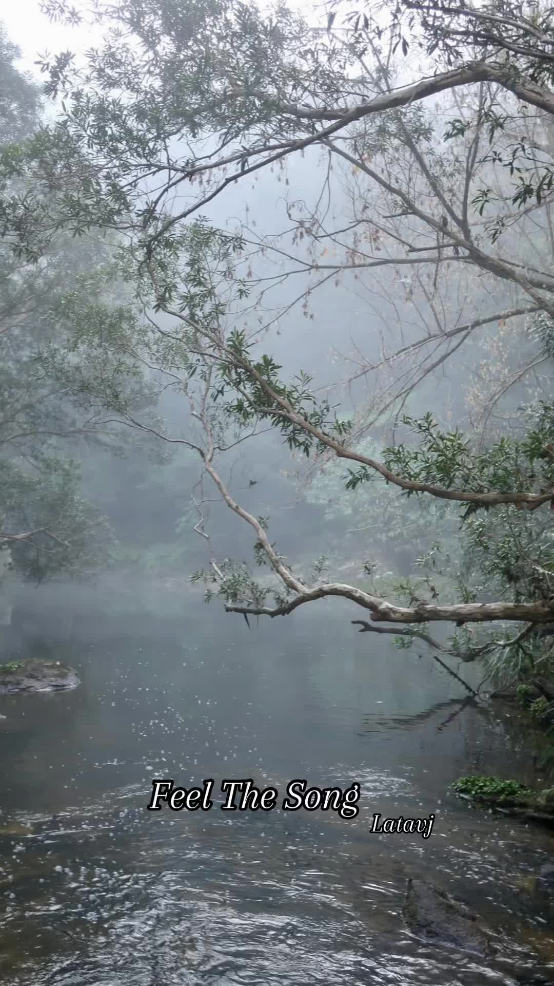 @Lata