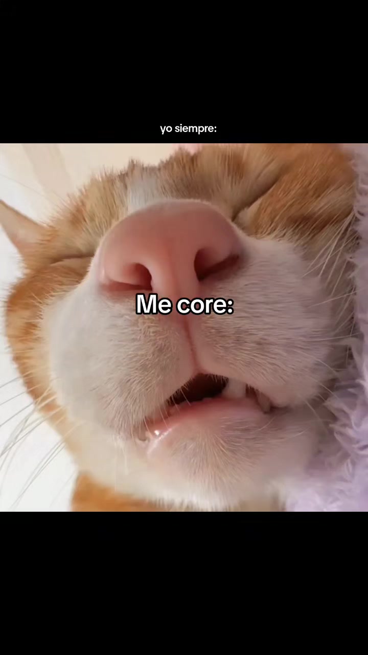 @goodvibessxd