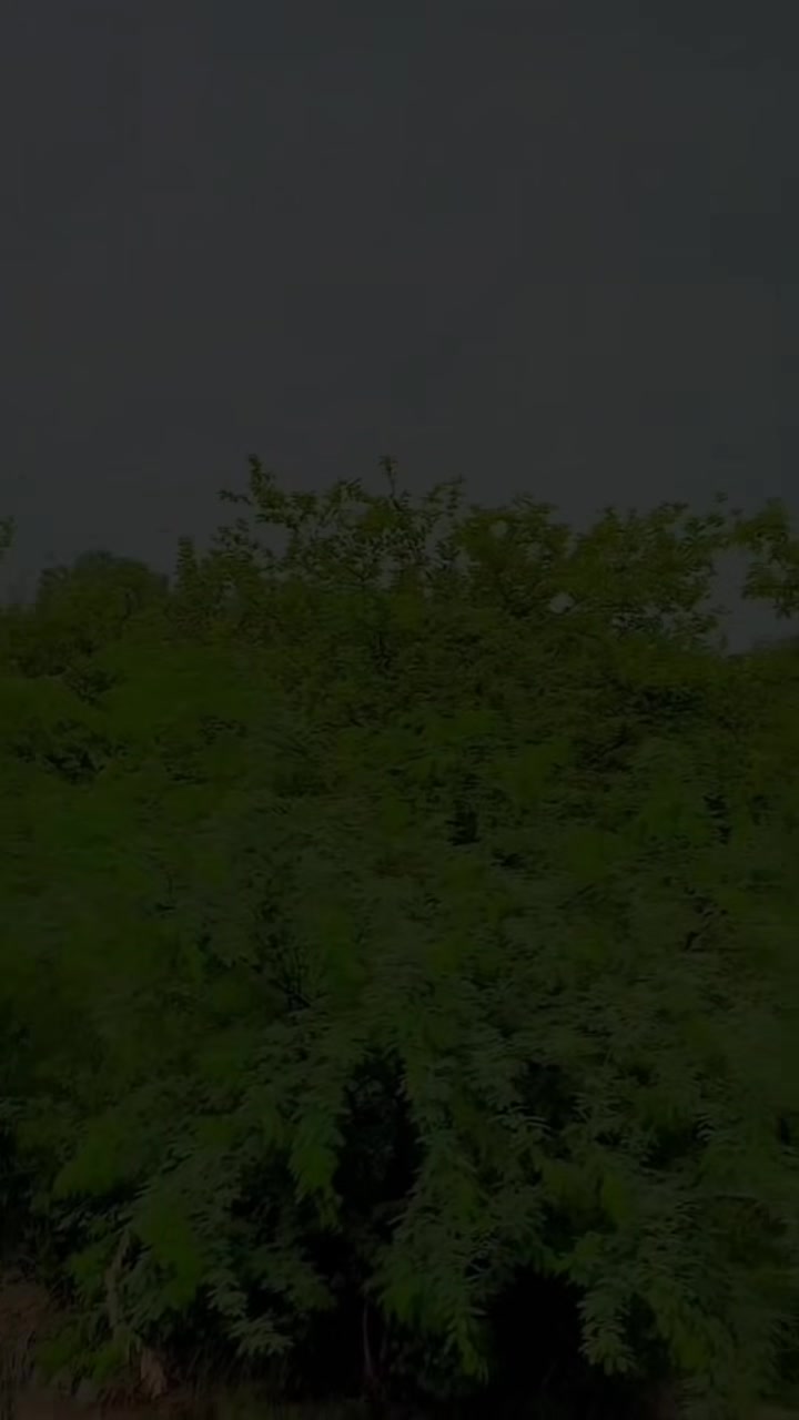 @AMBARSARIYA