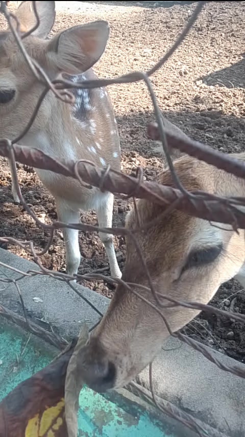 @pgl keti