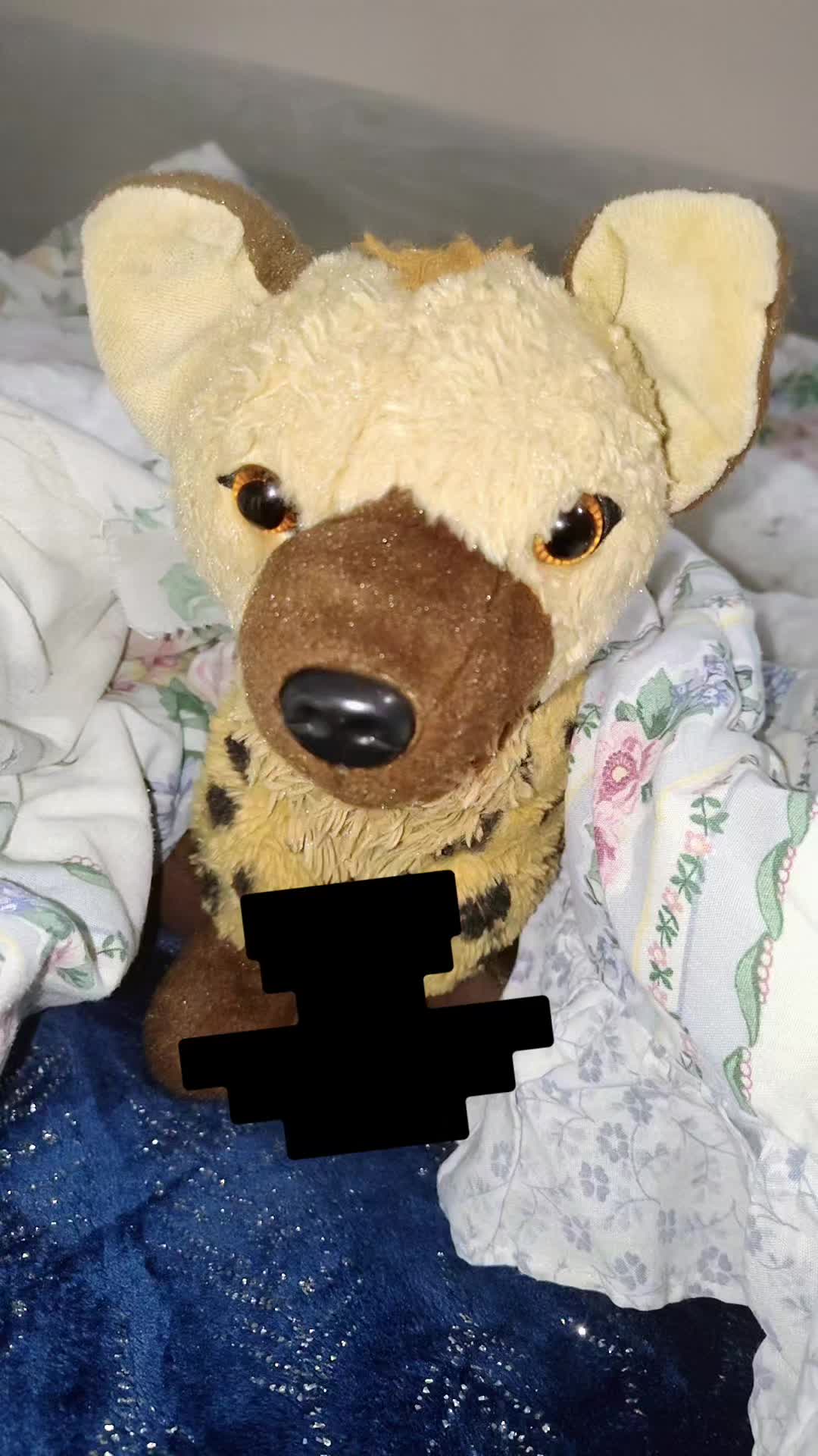 @AbrahamTheHyena✝️