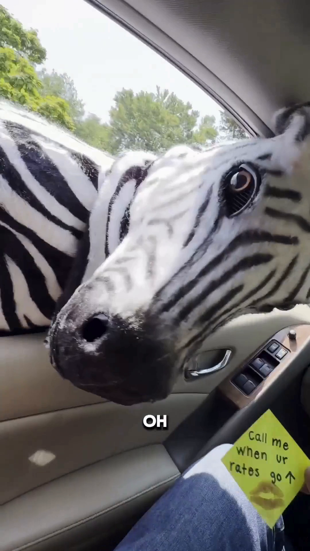 @TheZebra.com