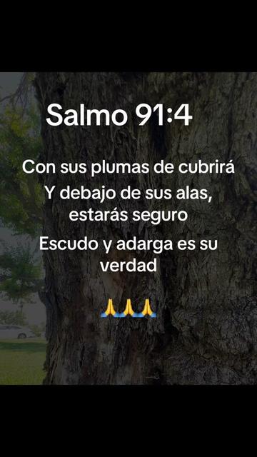 @Jehova-proveera