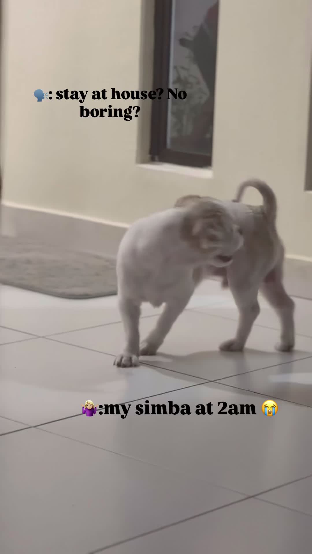 @_lxnaaa.04