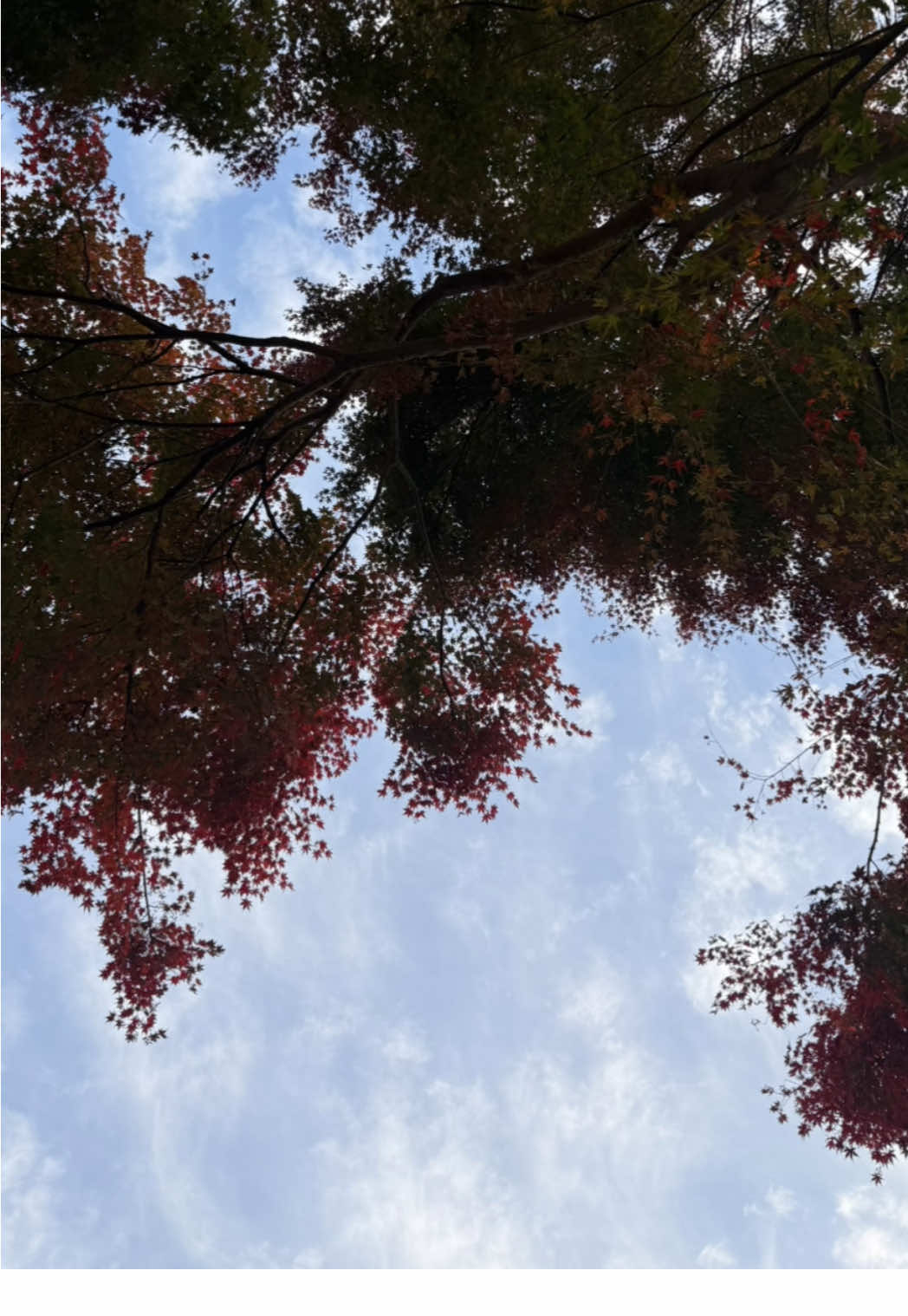 @Mim🕊️