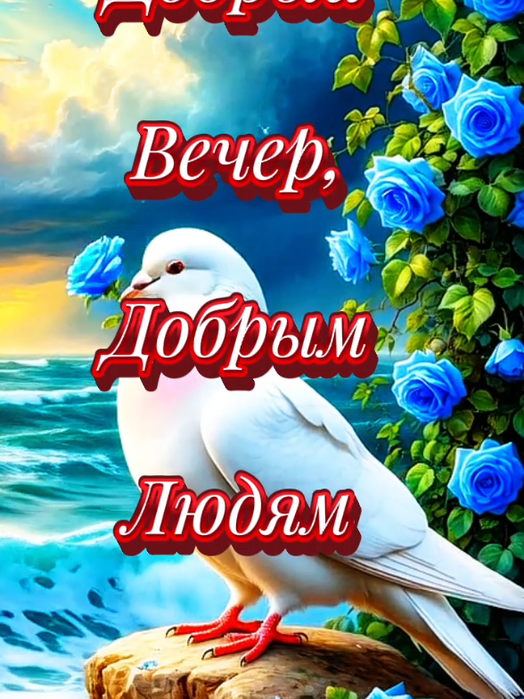 @✅꧁♻️༻✿༺Elena༻✿༺♻️꧂