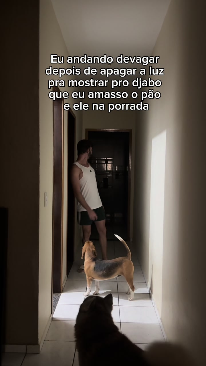 @Luan Montanholi
