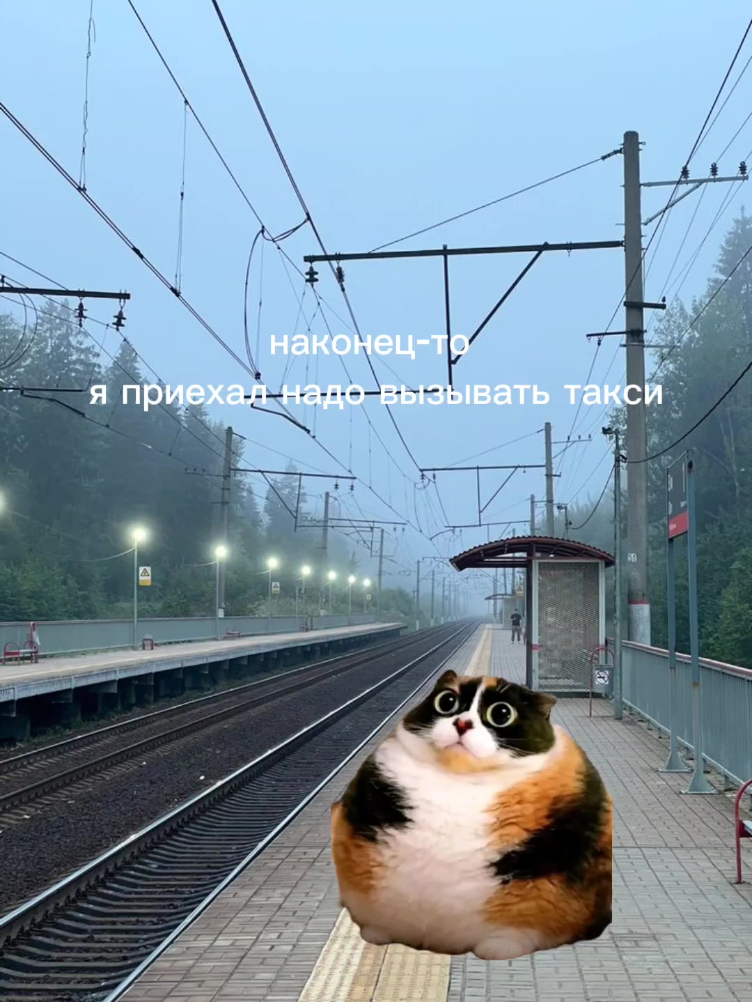 @куки прайм