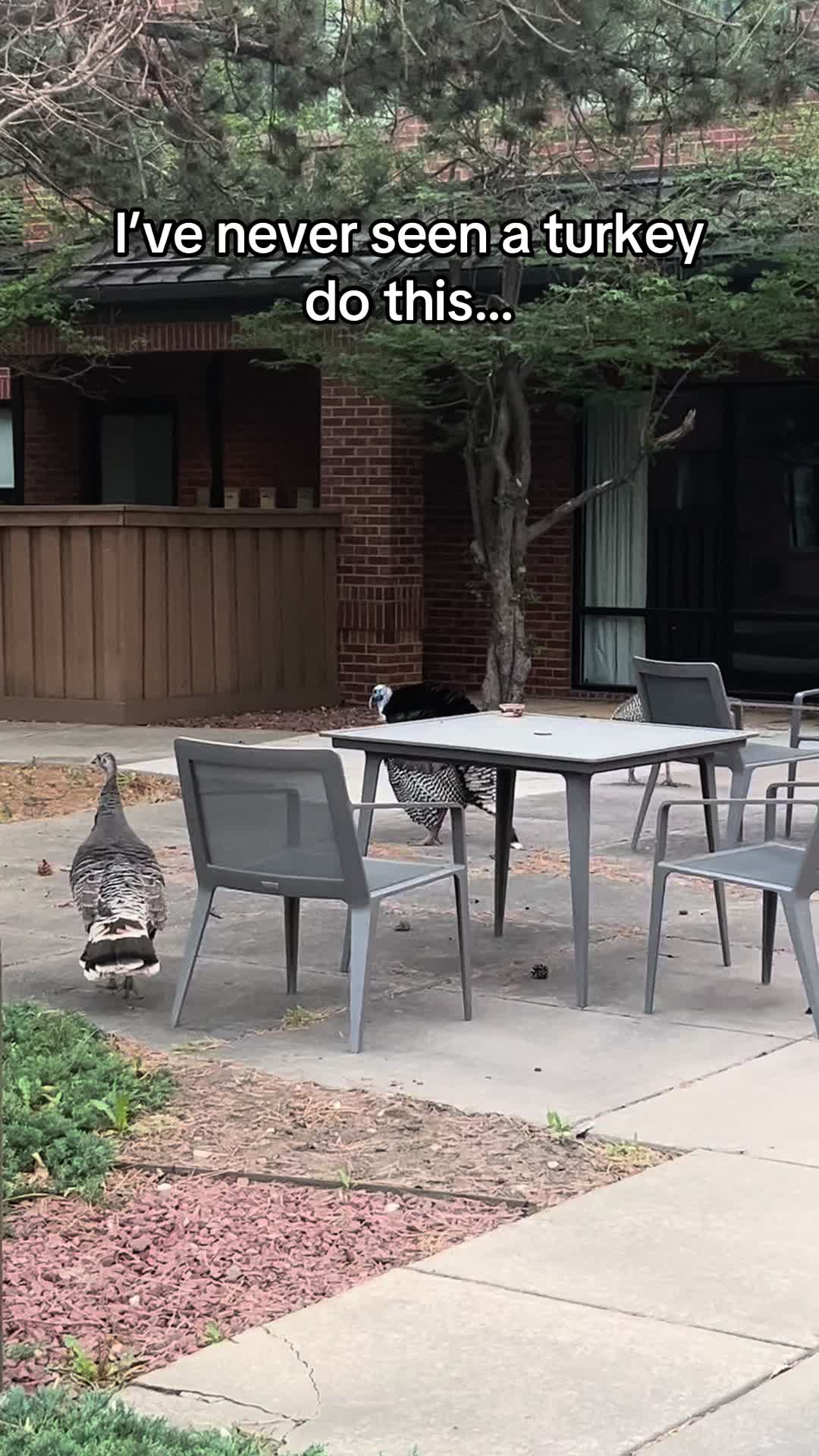 @Something in the Wild