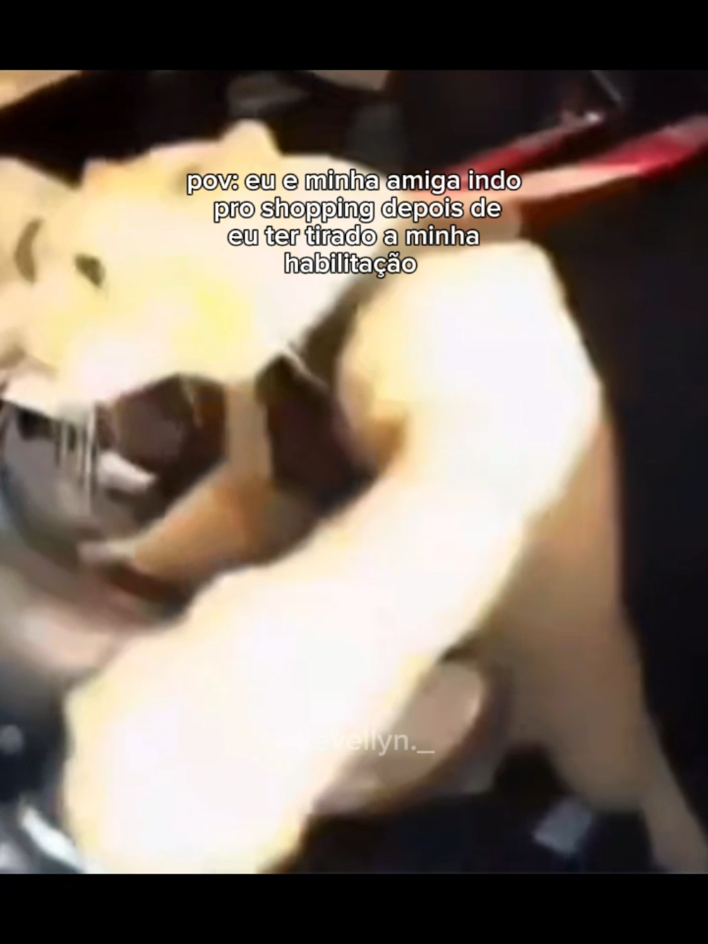 @🌷𝗞🩰