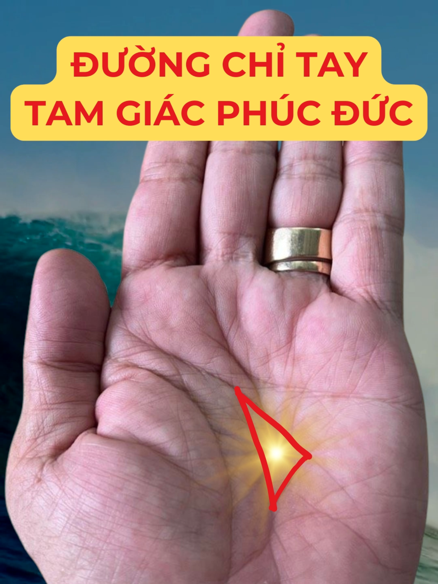 @Học Xem Chỉ Tay