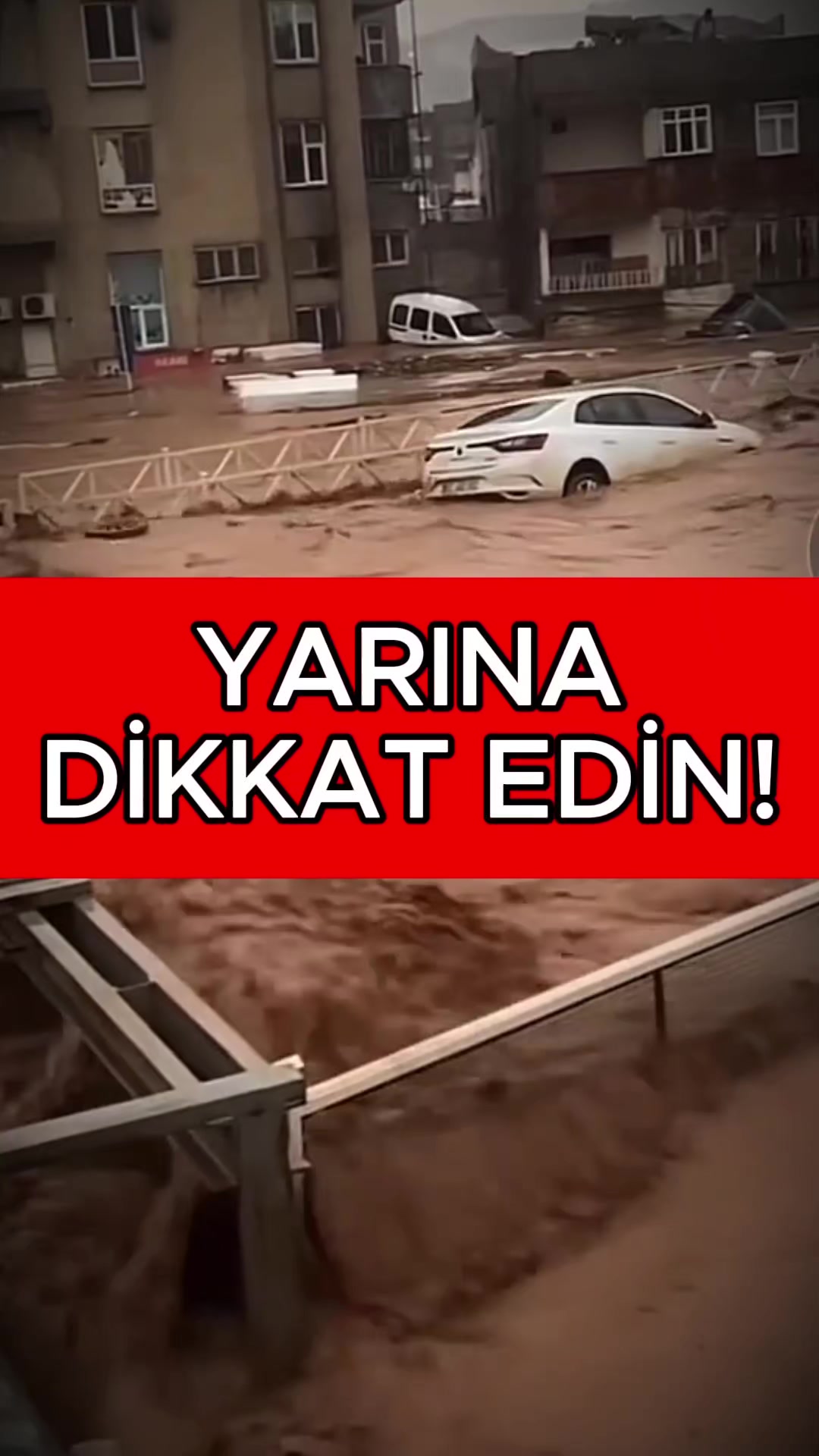 @Havadar