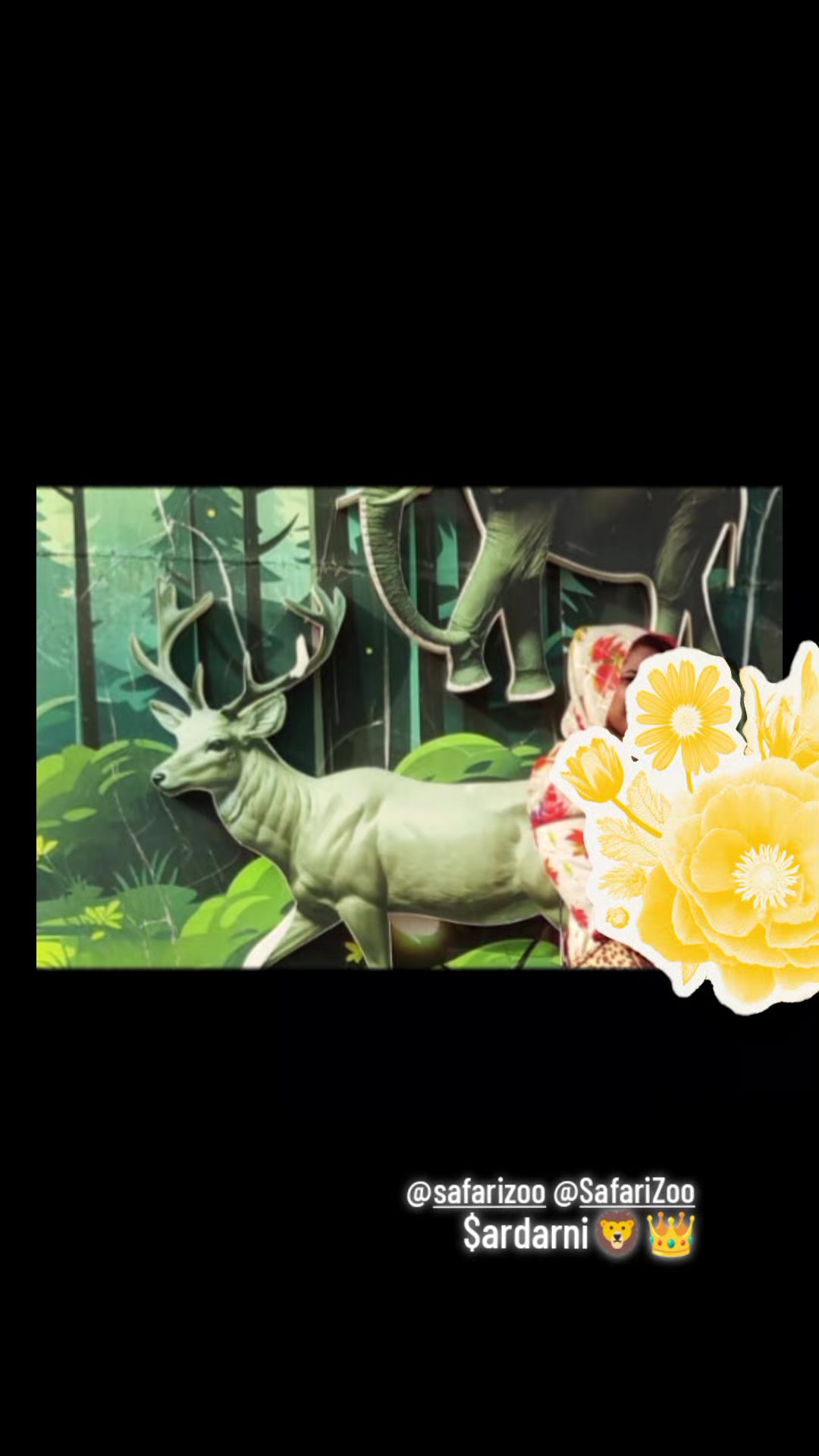 @๐๐ฆ$ardarni ๐ฆ๐6