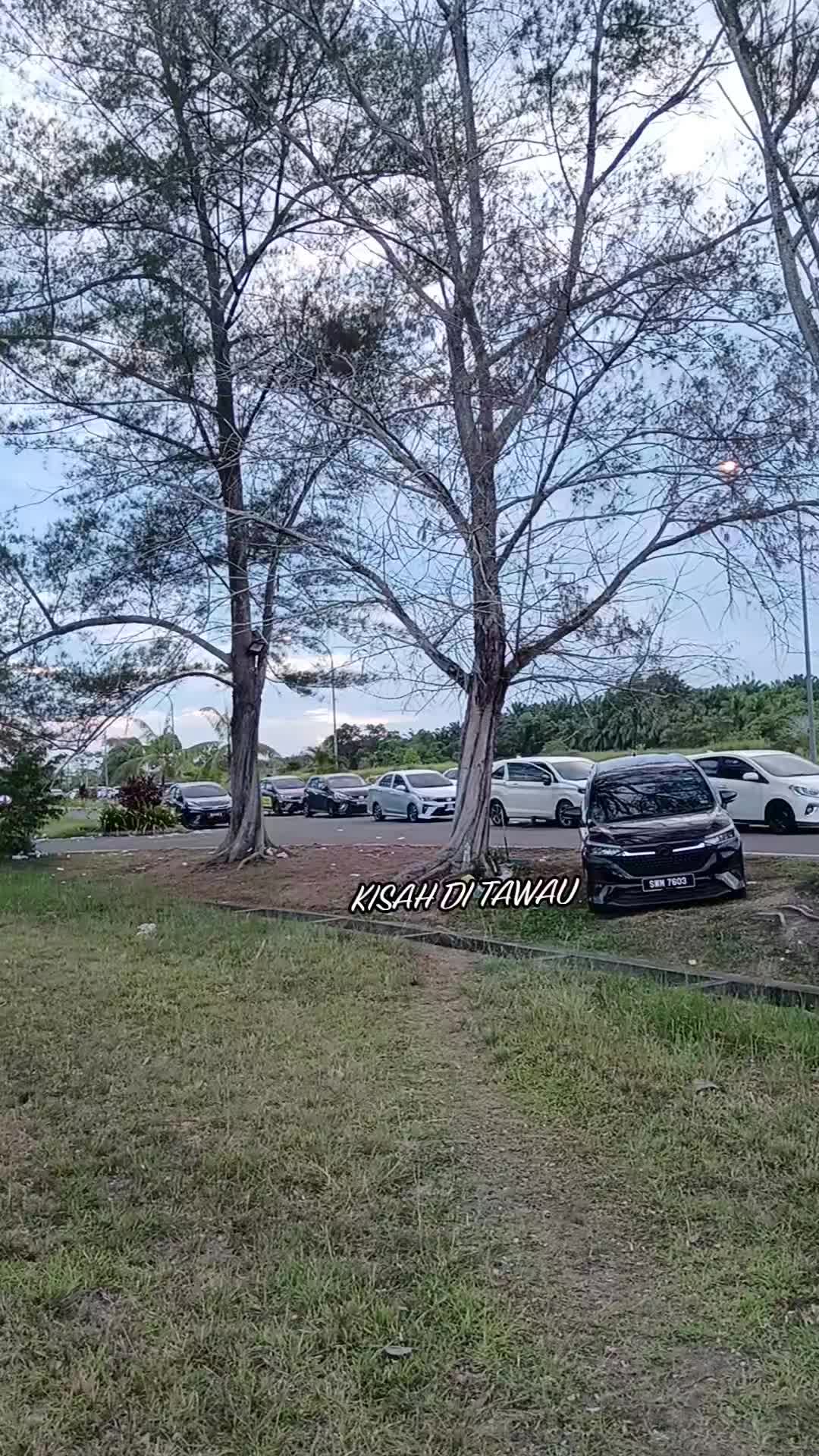 @KISAH DI TAWAU