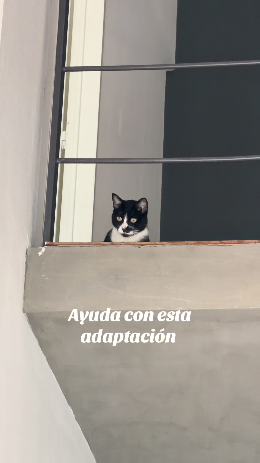 @Carme colombi