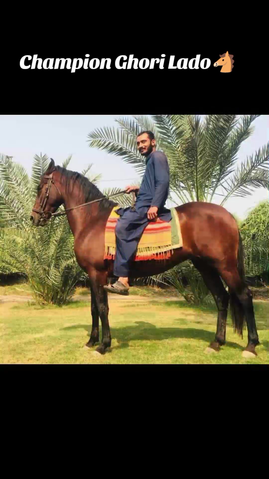 @احمد گل نمبر دار