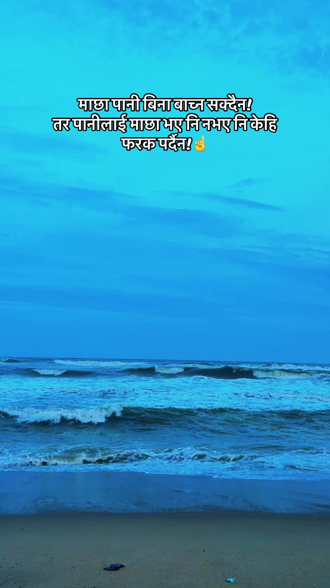 @MowHn_yzn
