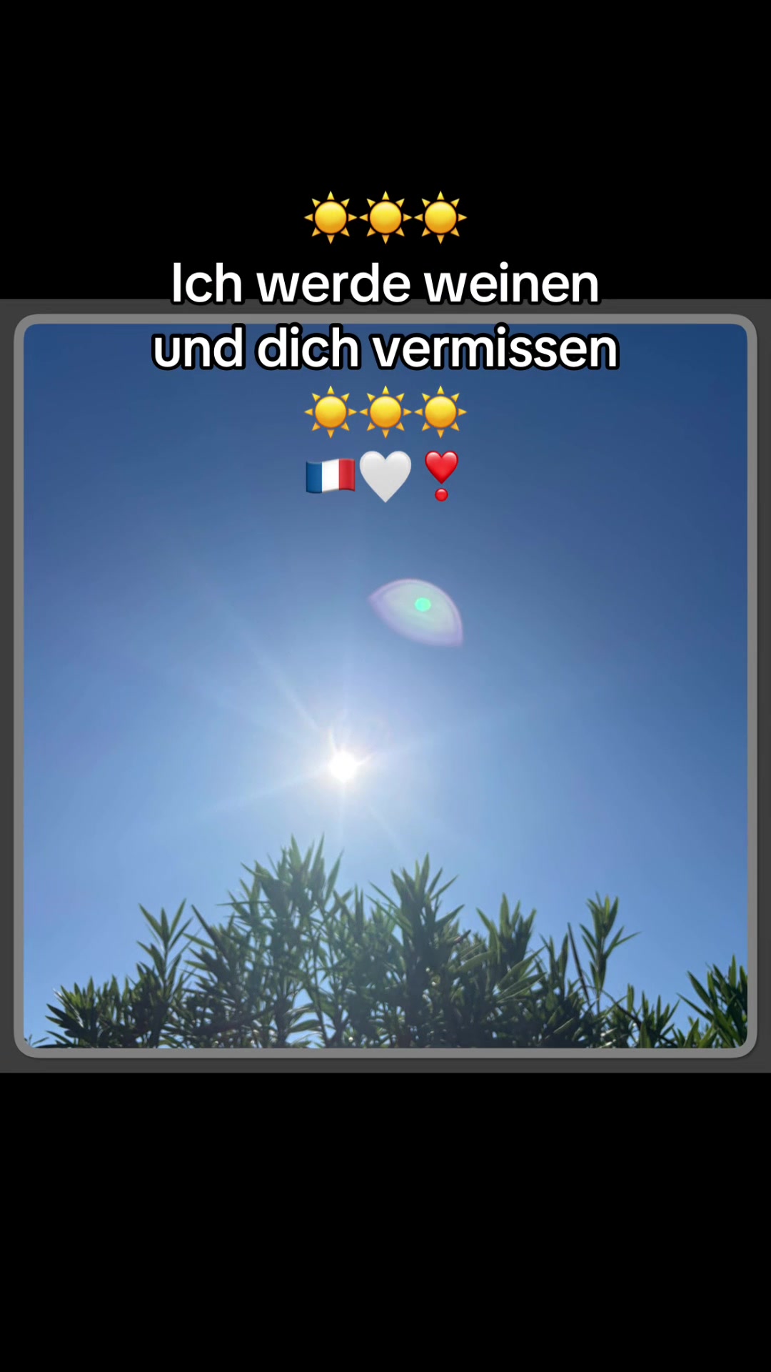 @🤍🦥🌿 TᗩᗰI 🌿🦥🤍