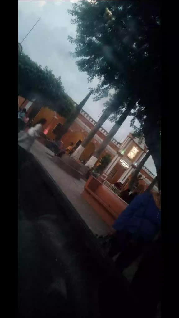 @Noemí salam