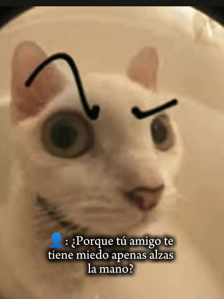 @delfi😝🖕