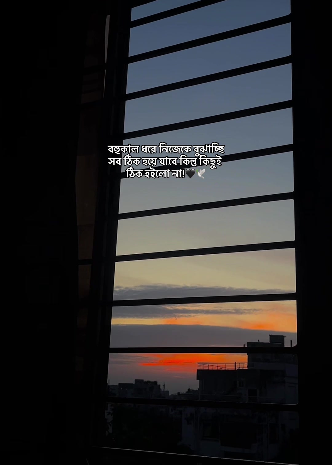 @đ đ đ đ đĨ đ¤đī¸