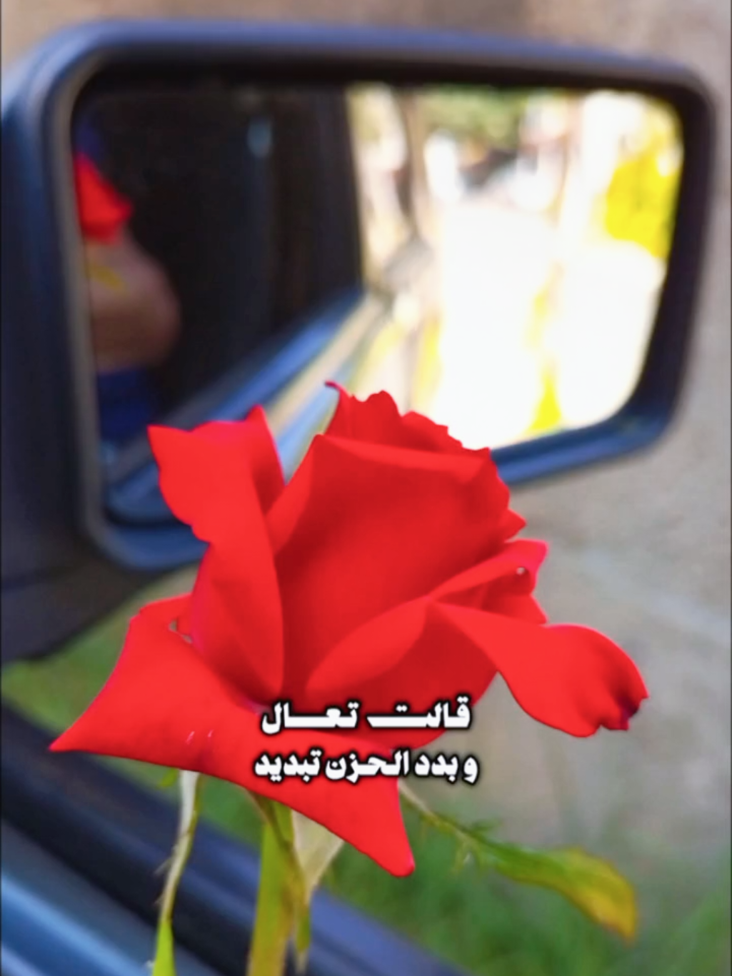 @lavendr81