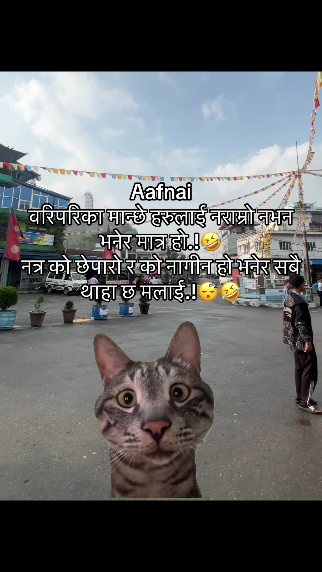 @अजय राज धामी  🇵🇹