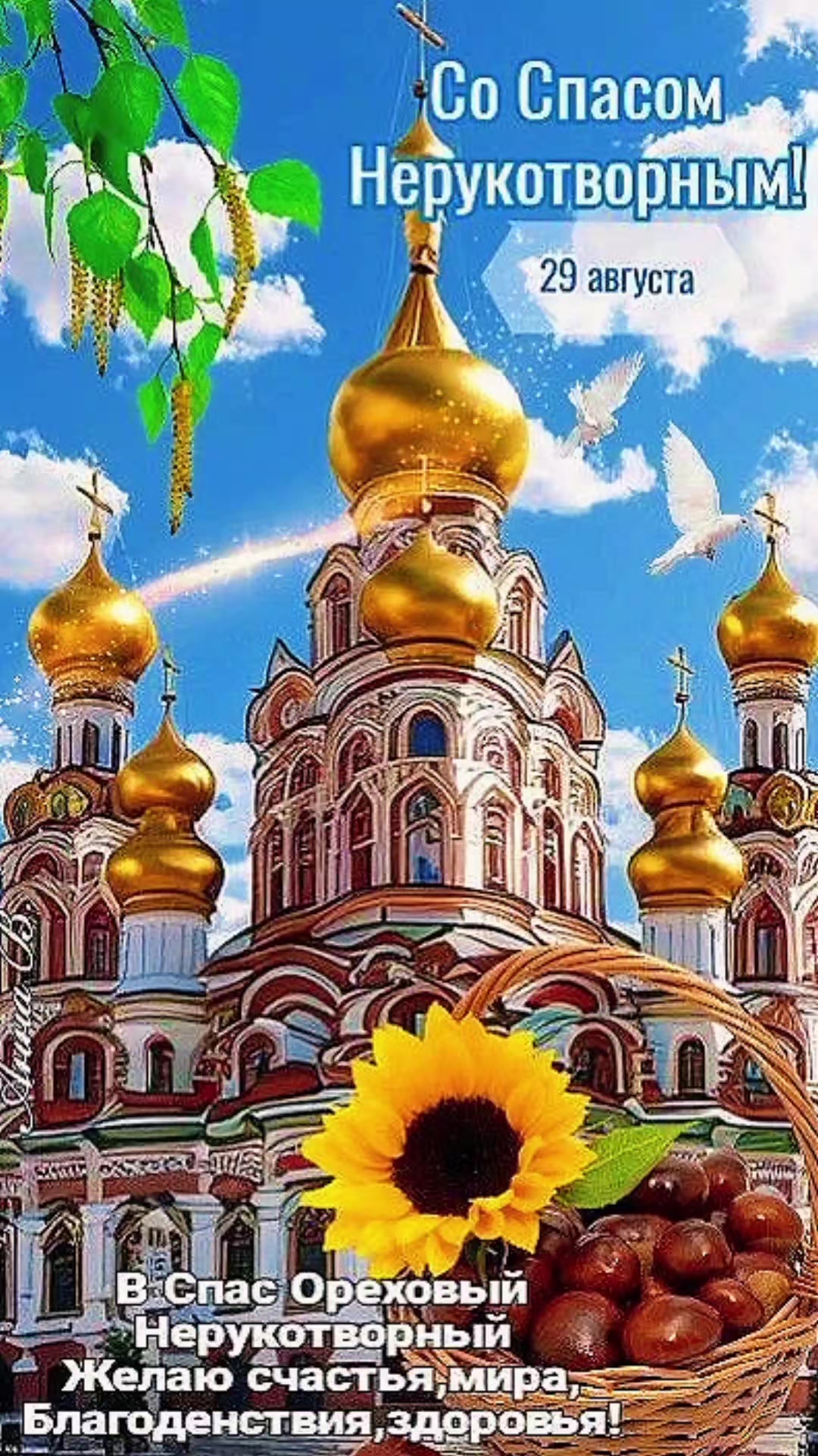 @olga
