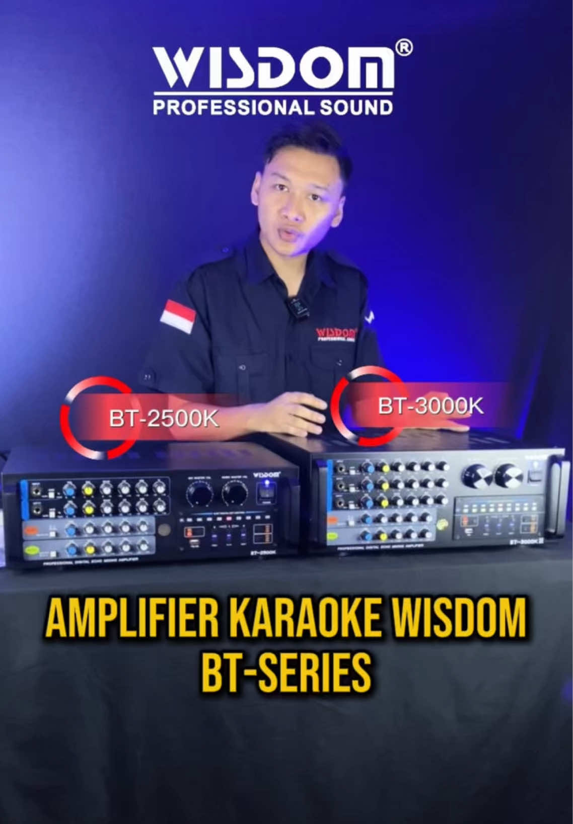 @Wisdom Pro Audio