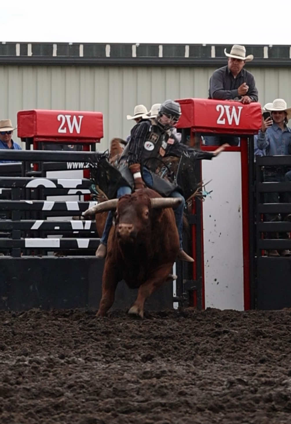 @Lazy P Rodeo