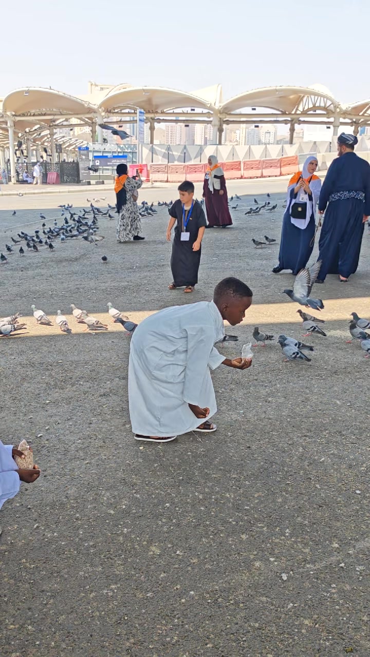@الممشى العريض🪕🎺🎻