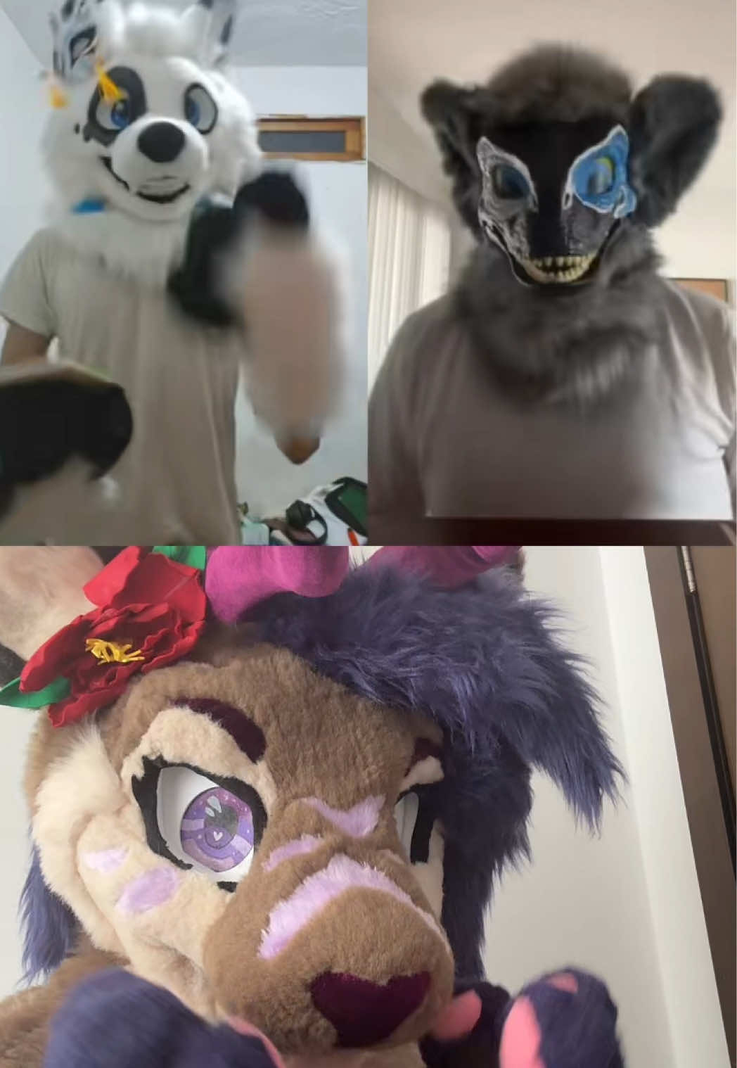 @Riley :3