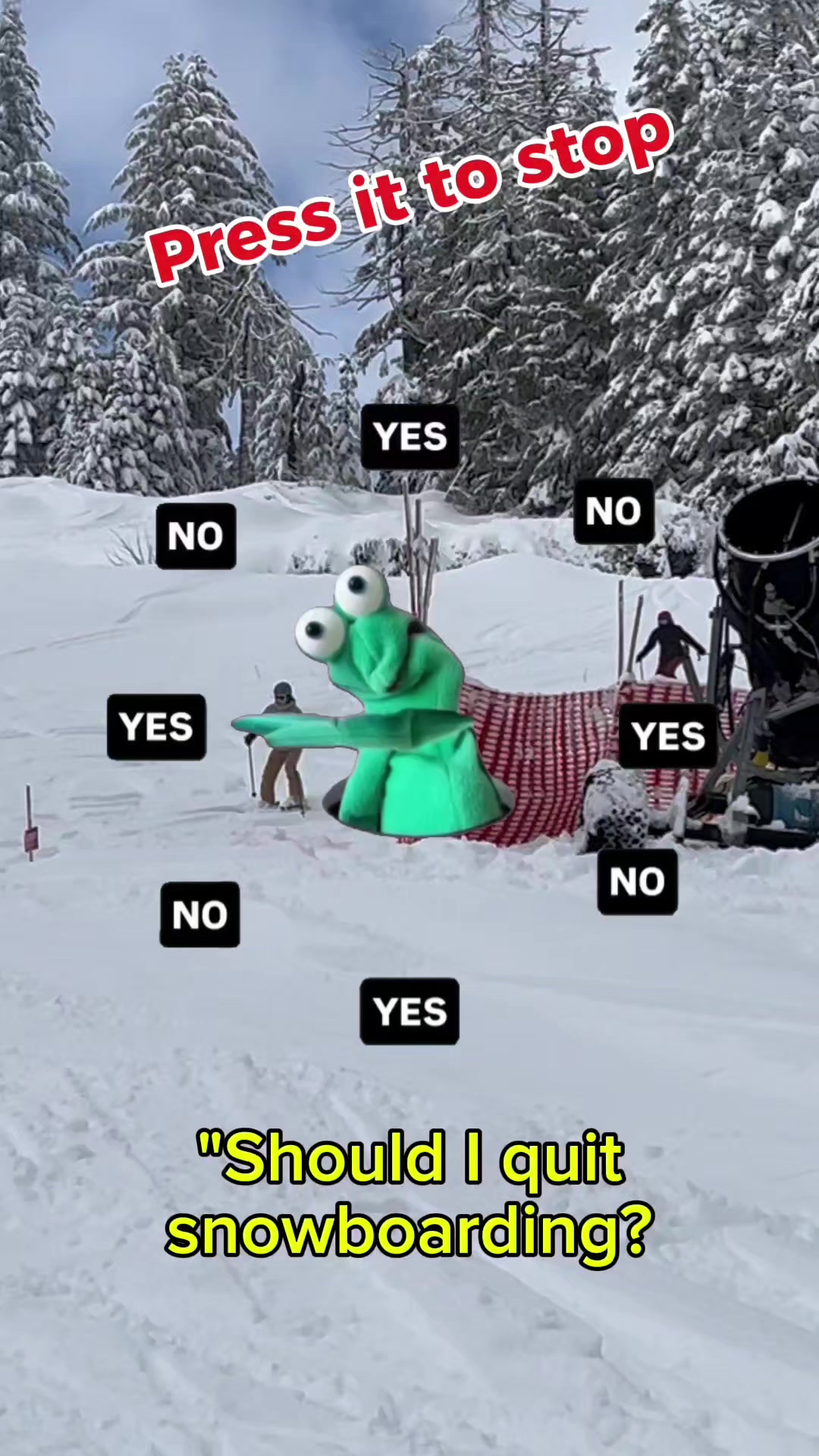 @Vicho the rider