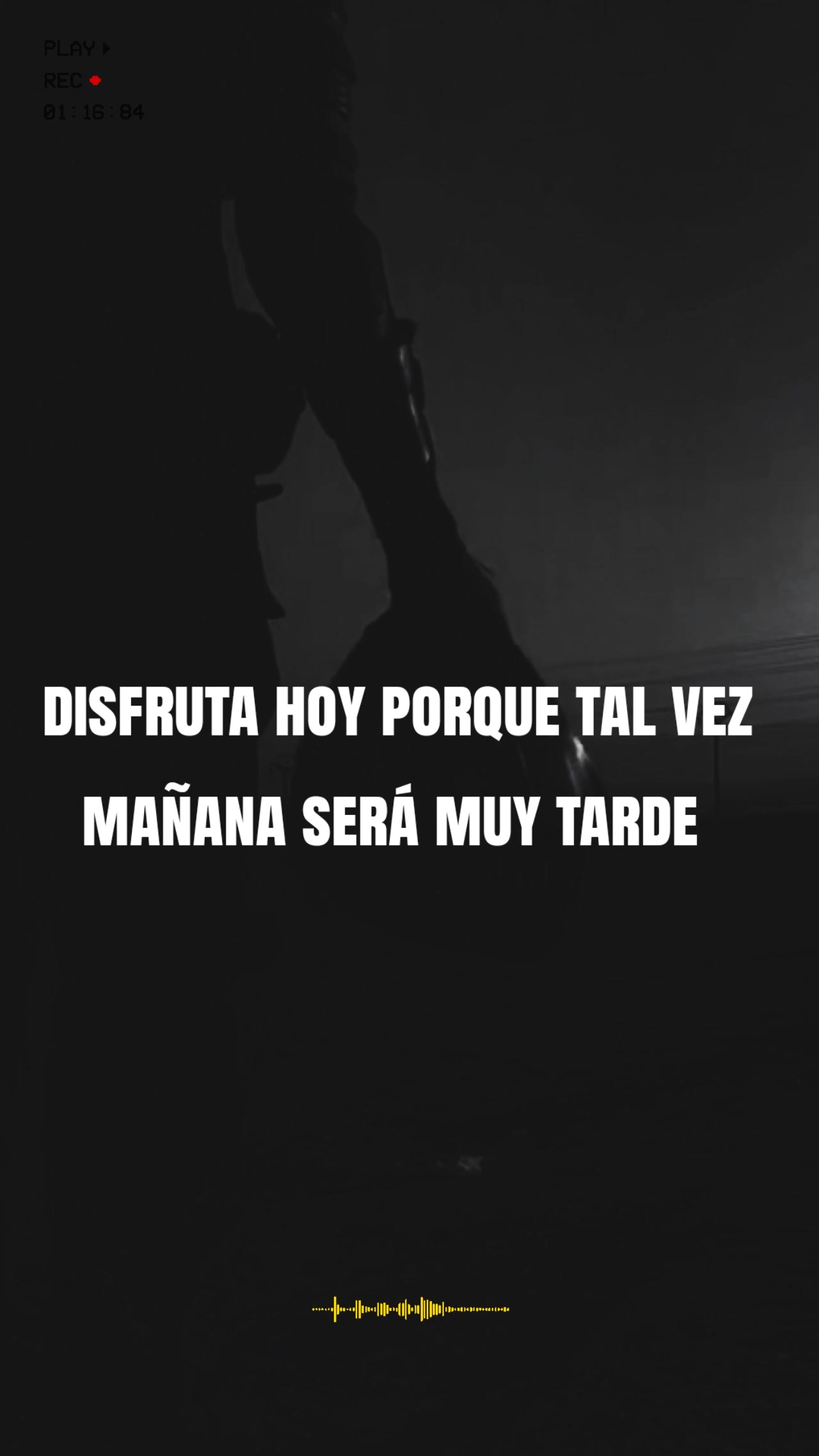 @biker24/7 oficial