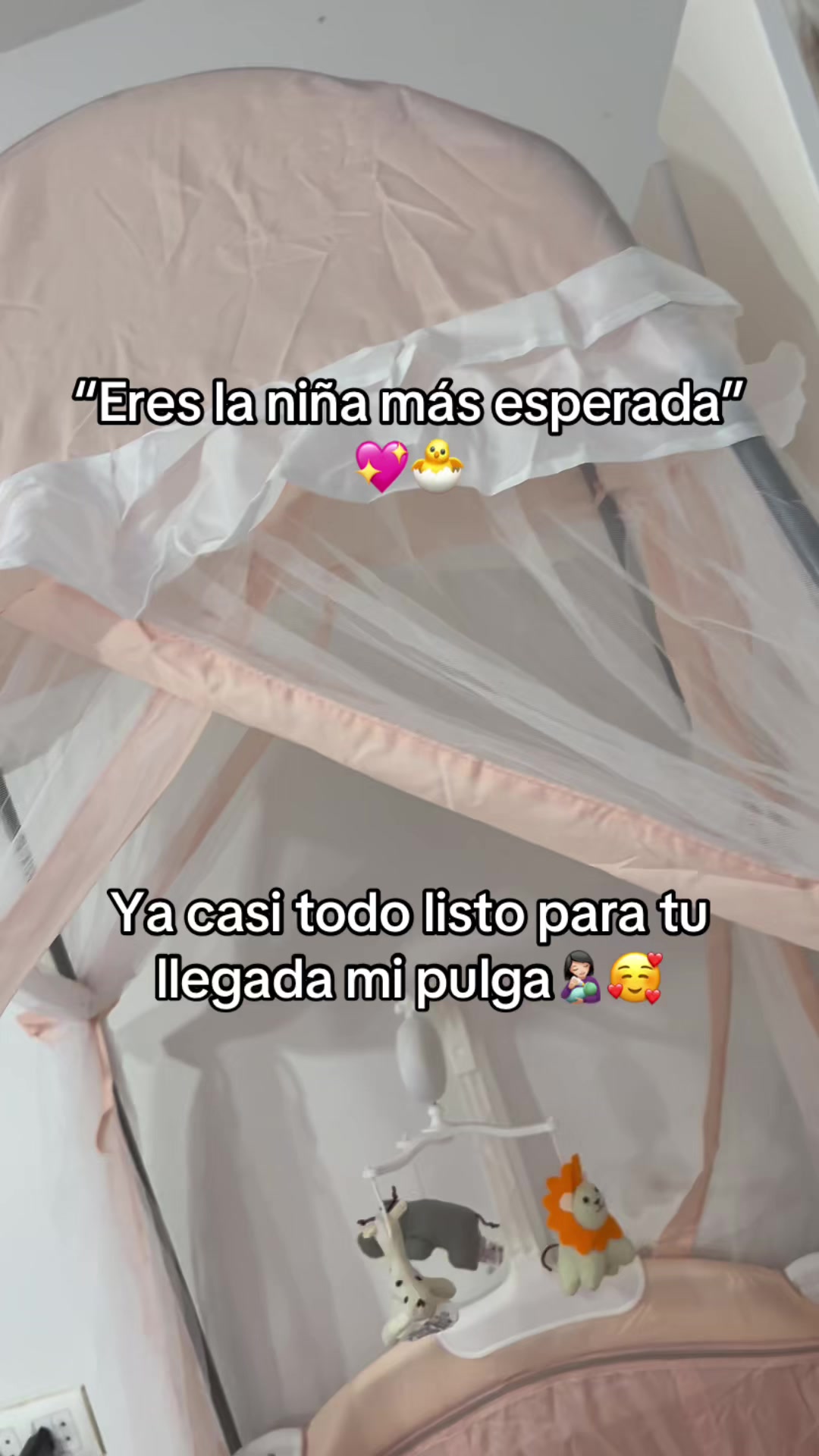 @Sara Calle