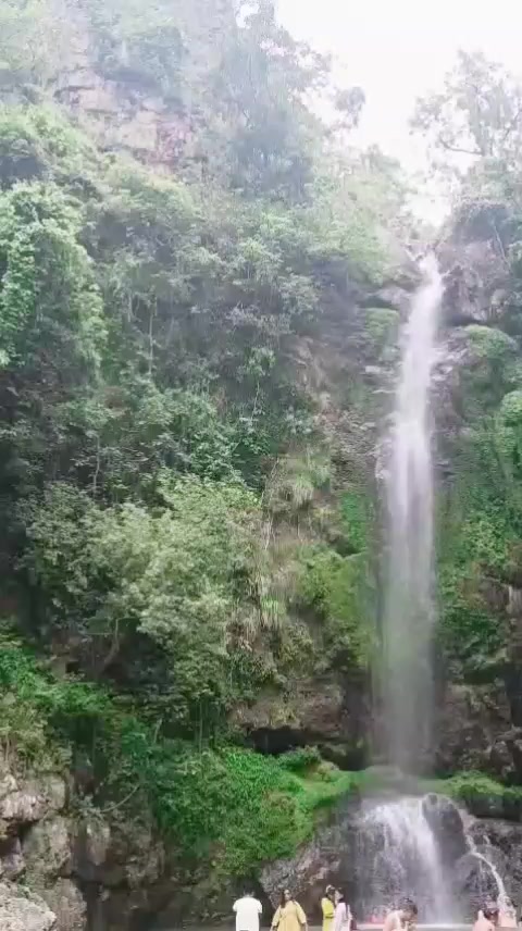 @sumitrachaudhary530