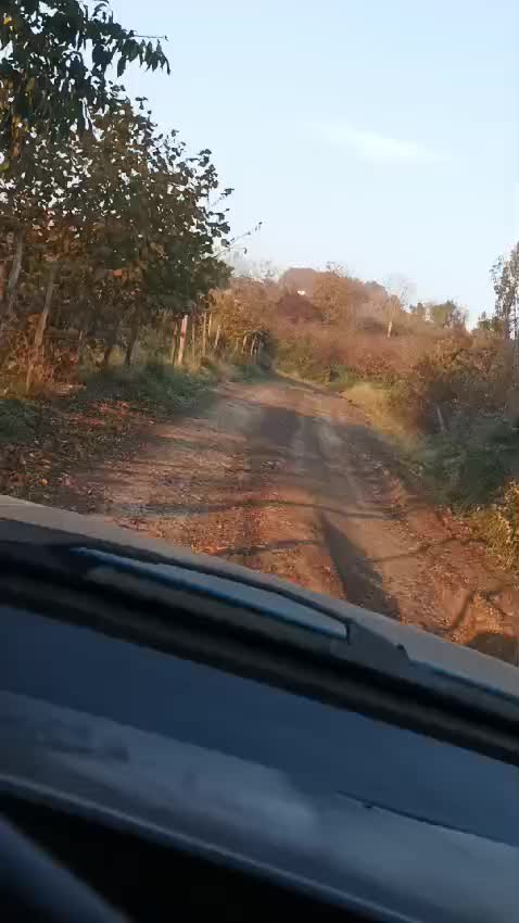 @Gül ÇebiÖzel