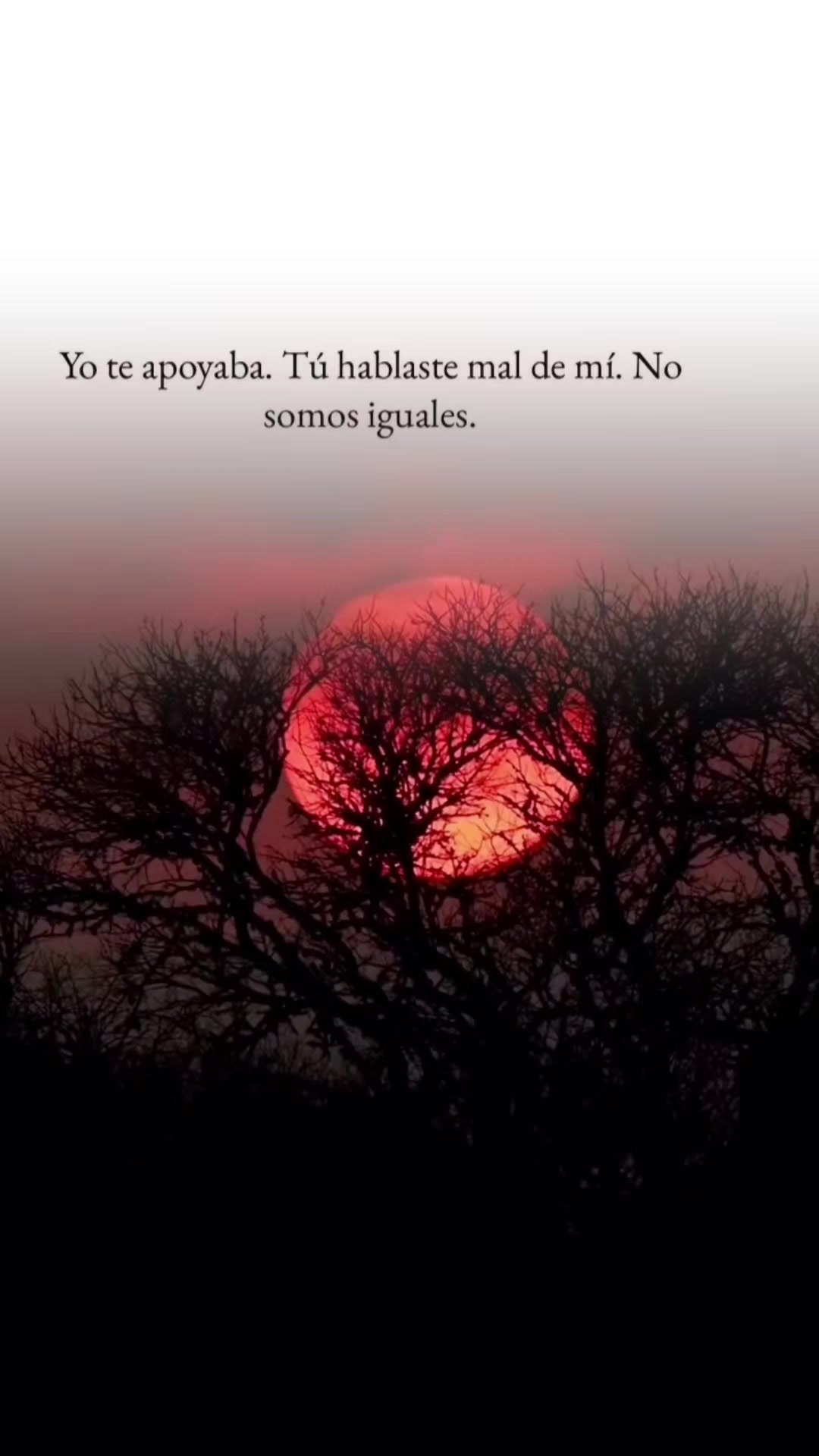 @Daimich💗