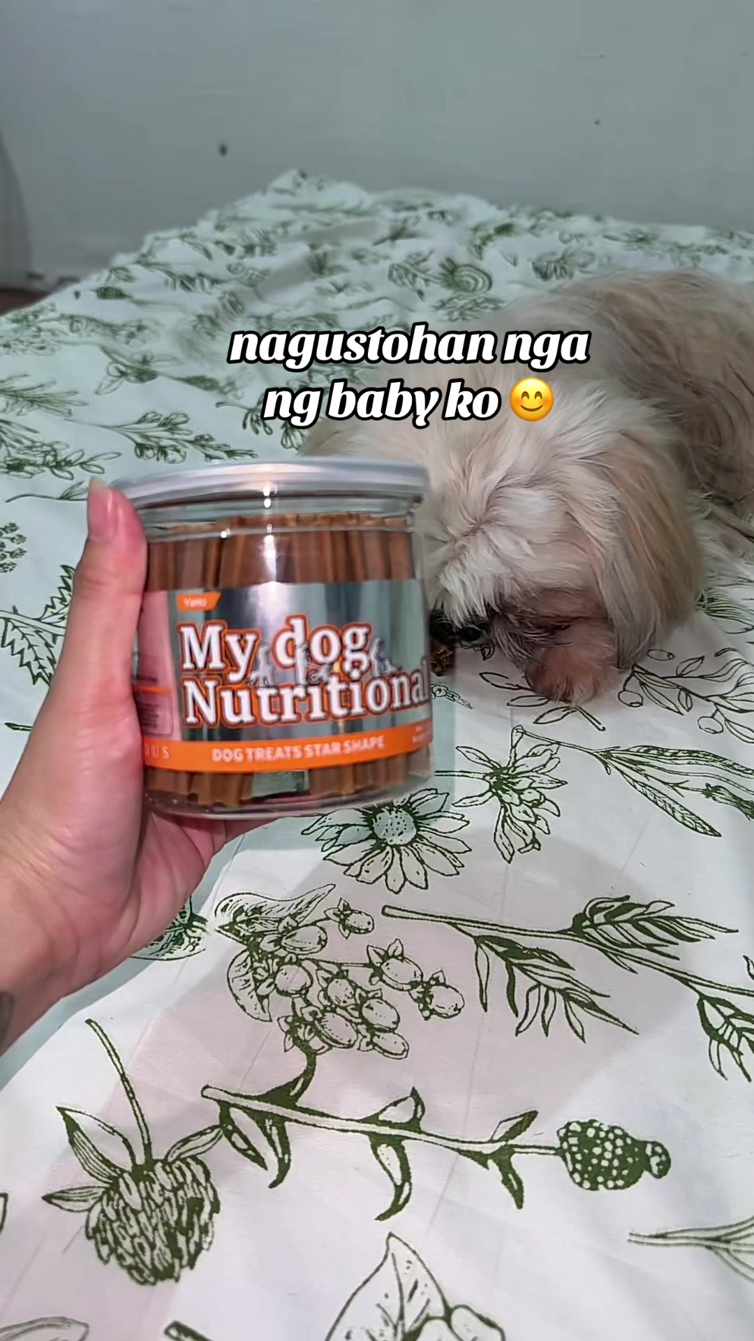 @petot🌻🏳️&zwj;🌈
