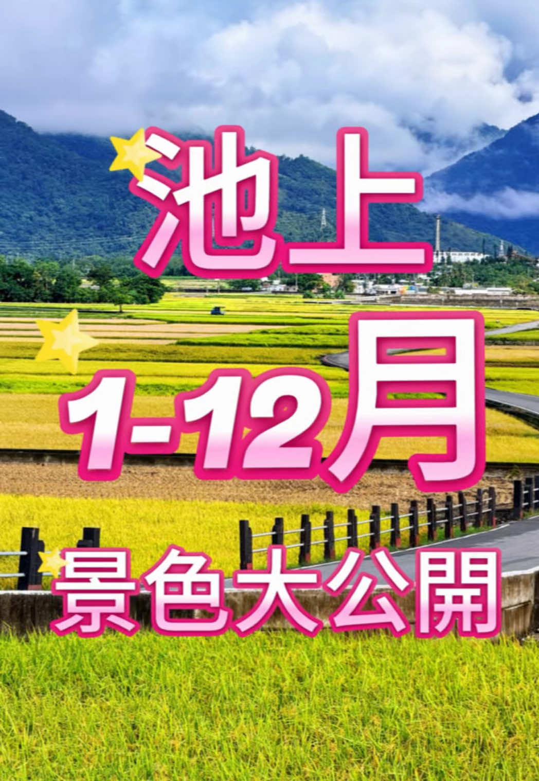 @美娴(華鼎自行車出租店)