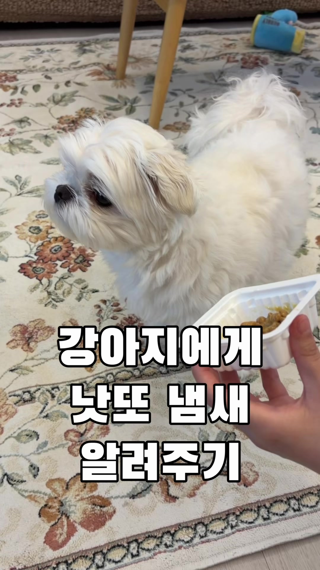 @박까까