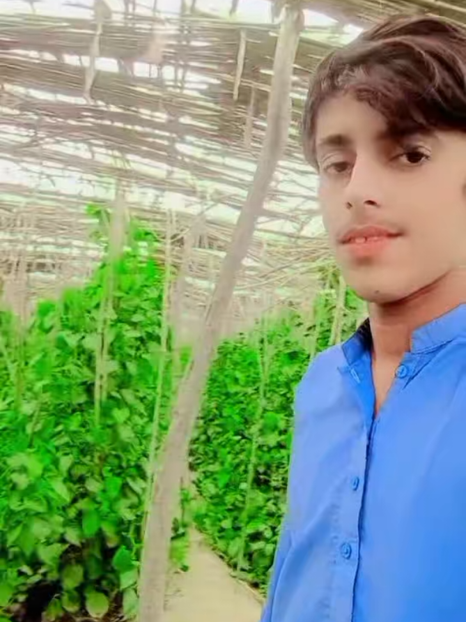 @Furqan bilwani18