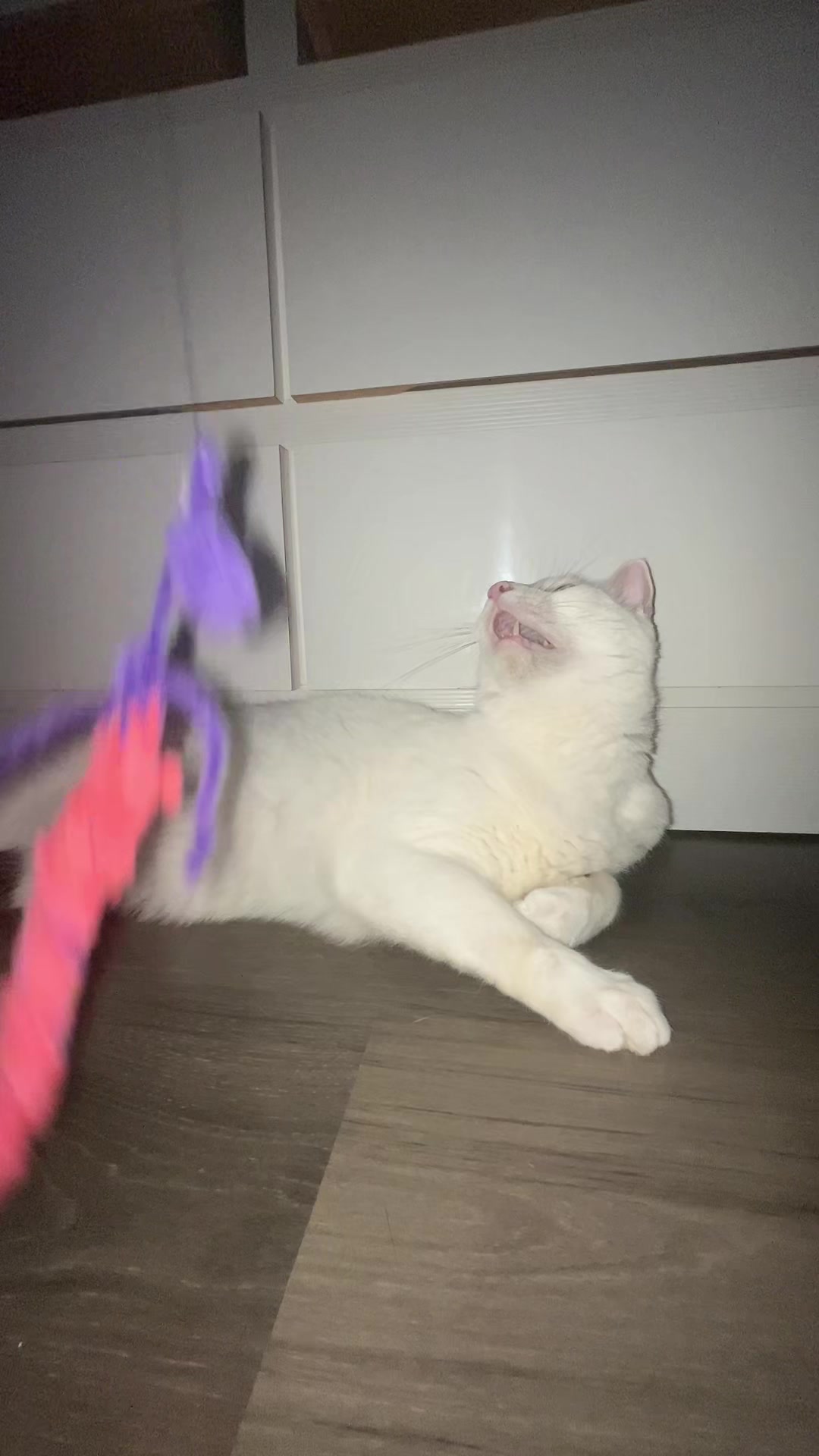@pompompounder