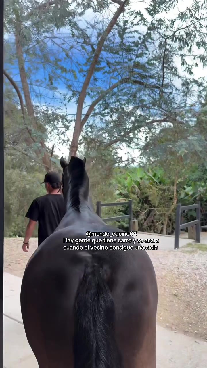 @mundo_equino04
