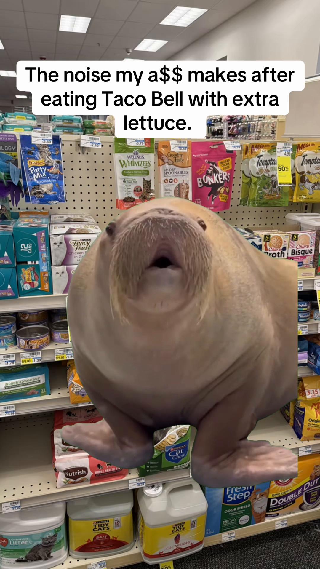 @Matt