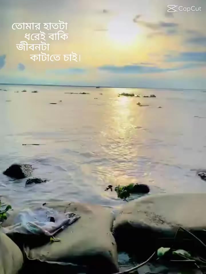 @🫀🪄❤️🩹MY হার্ট 🫀🪄❤️🩹
